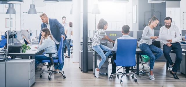 Team of Employees Working at a Company Office